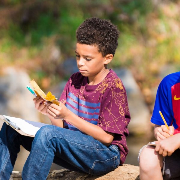 Students studying outdoors