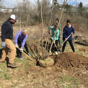 Students plant trees in school nursery